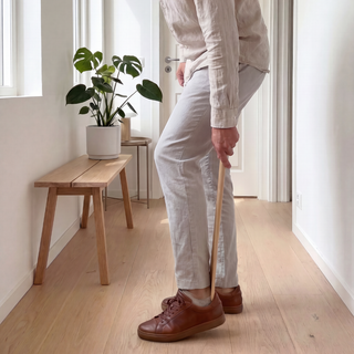Magnetic Shoehorn