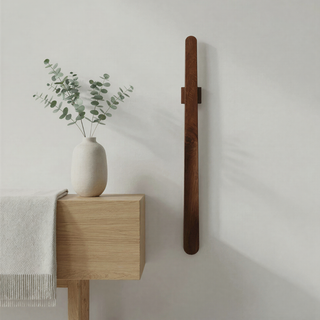 Magnetic Shoehorn