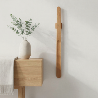 Magnetic Shoehorn