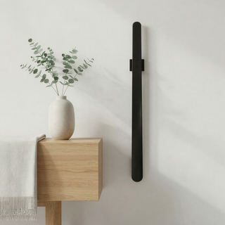Magnetic Shoehorn