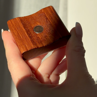 Magnetic Shoehorn