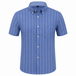 Cornflower Stripe